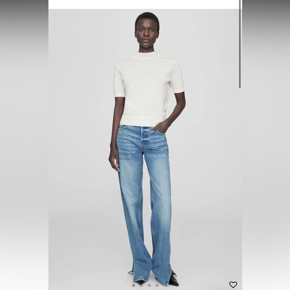 Anine Bing Roy Jeans
